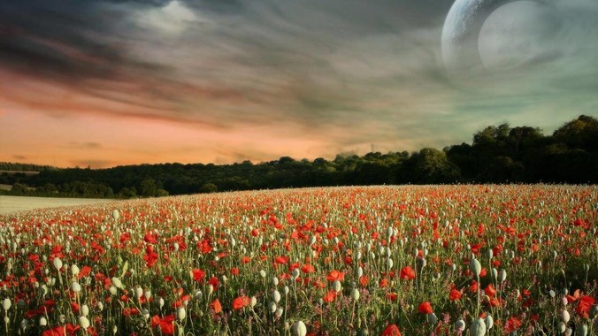 为什么女游泳运动员看起来大部分都是平胸?